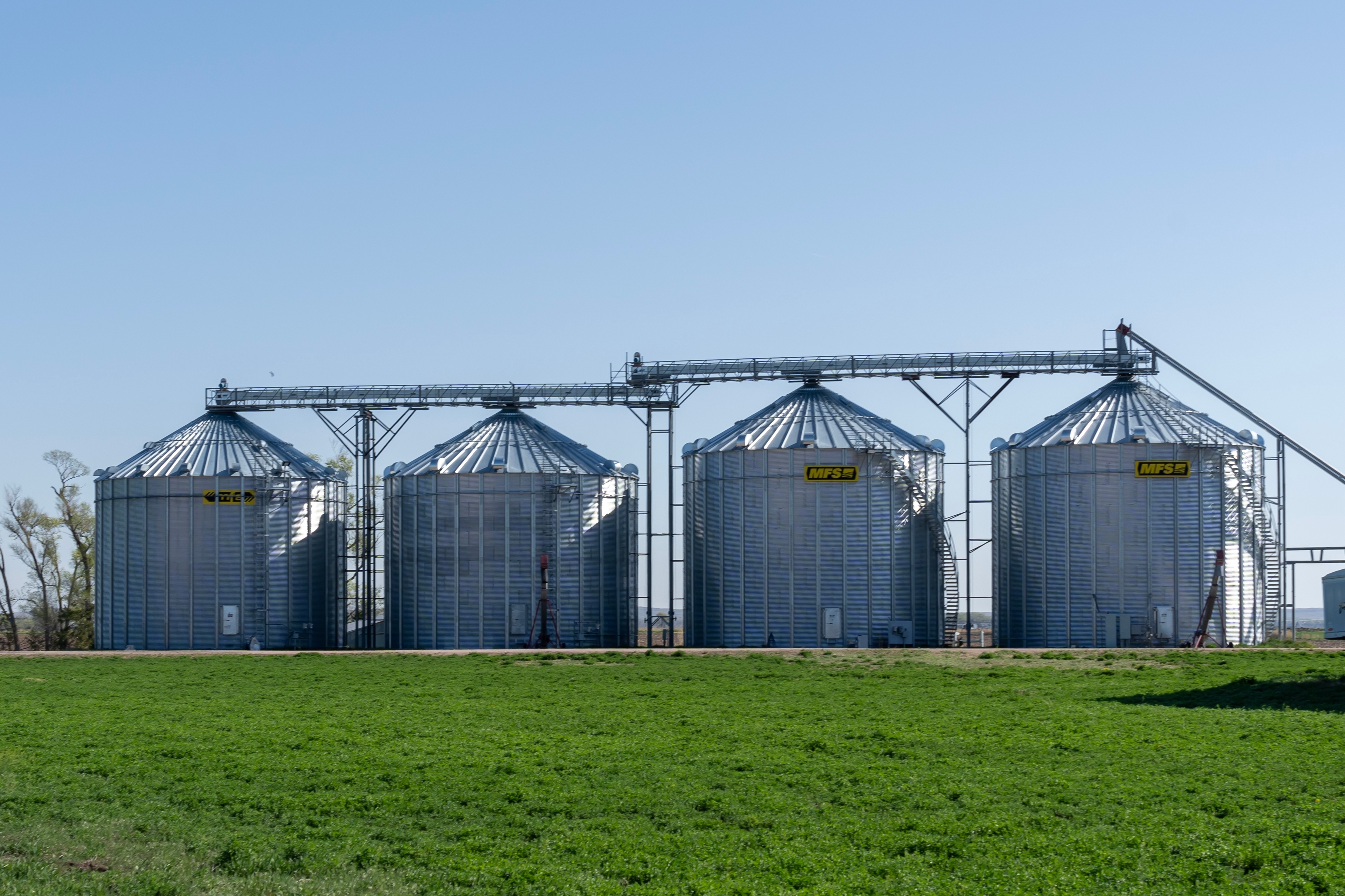 Grain storage bins